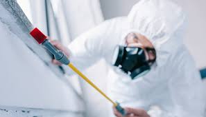 Best Pest Exclusion Services  in Ranlo, NC